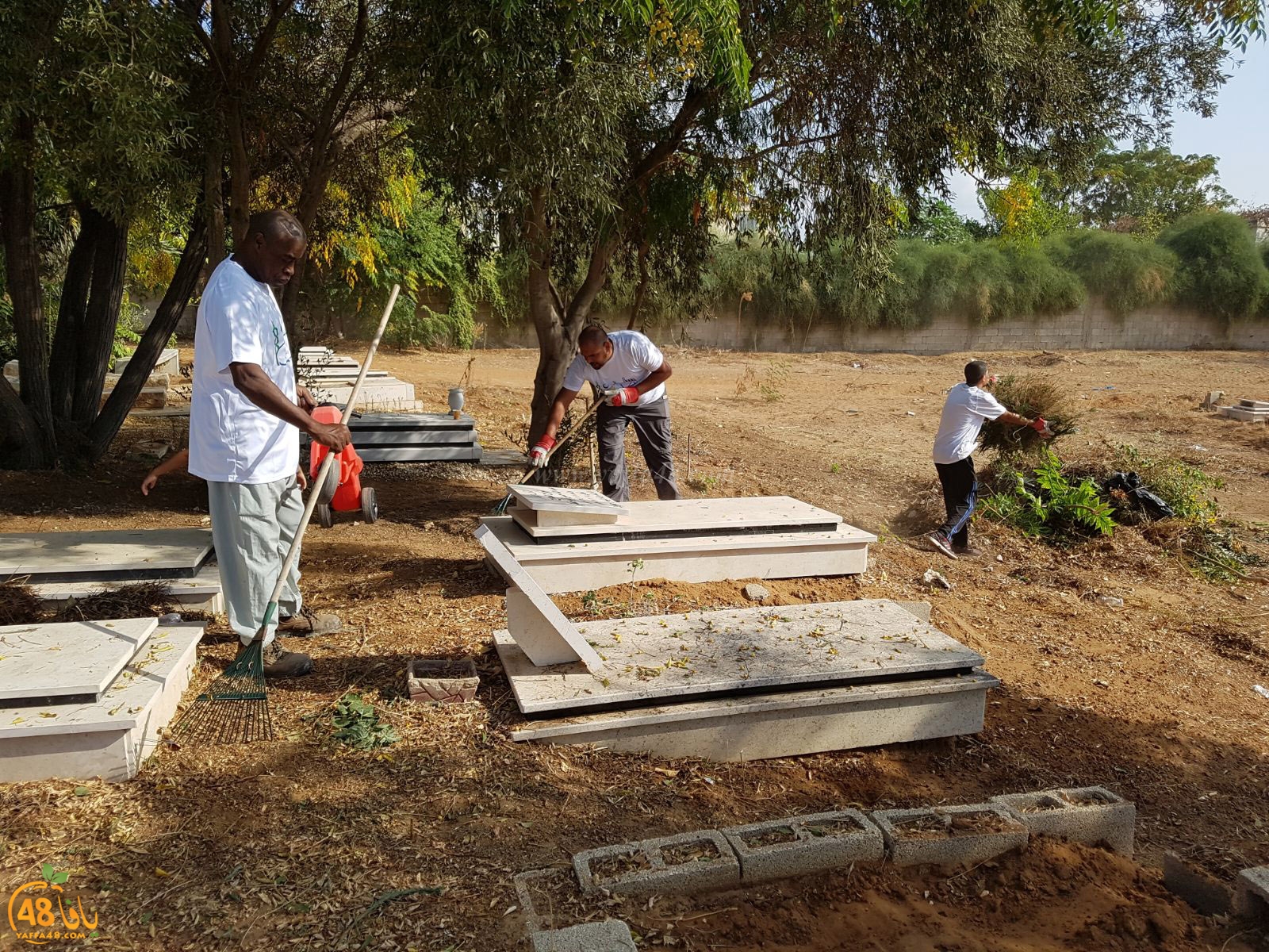 tasoo tandefet (30).jpg